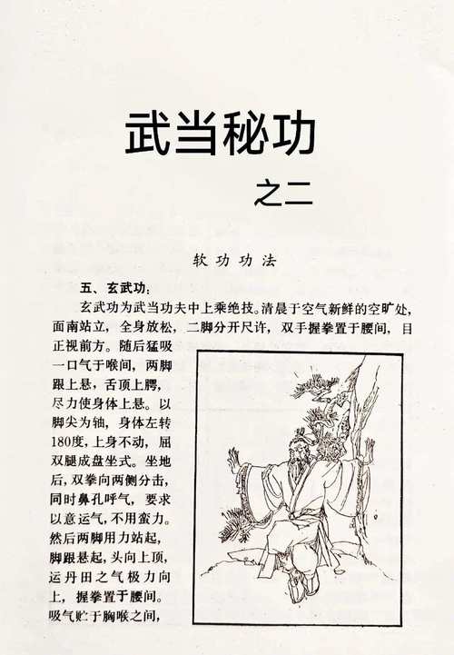 历史上真正的大武当秘籍是否存在？武当派高手告诉你！