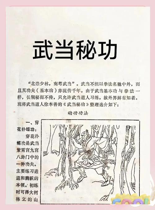 历史上真正的大武当秘籍是否存在？武当派高手告诉你！