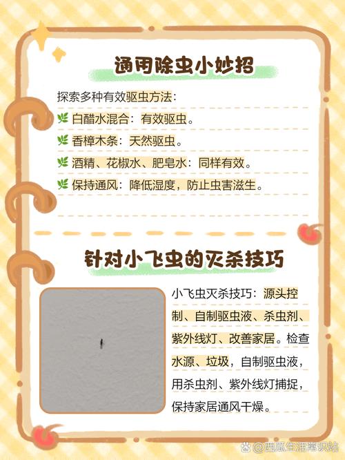 打手虫怎么彻底消灭？分享几个快速见效的民间土方法！