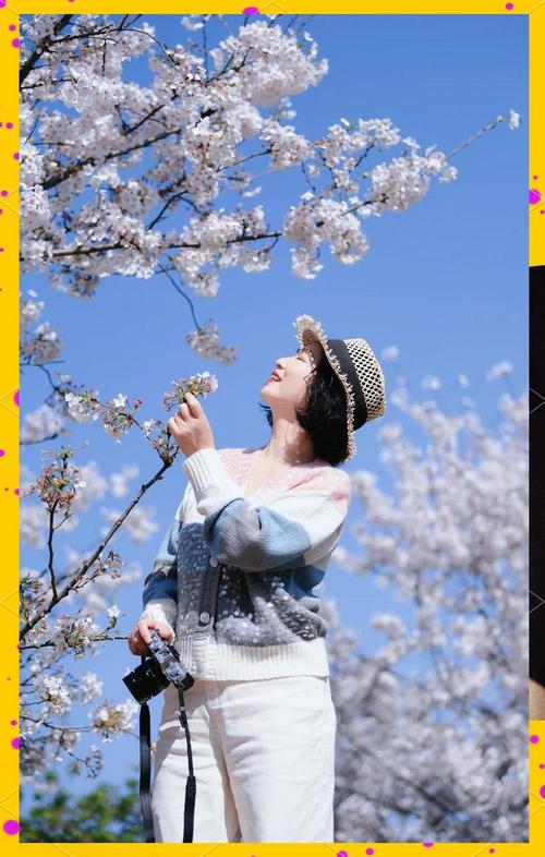 怎么拍出最美的樱花物语照片？摄影师分享几个小技巧！