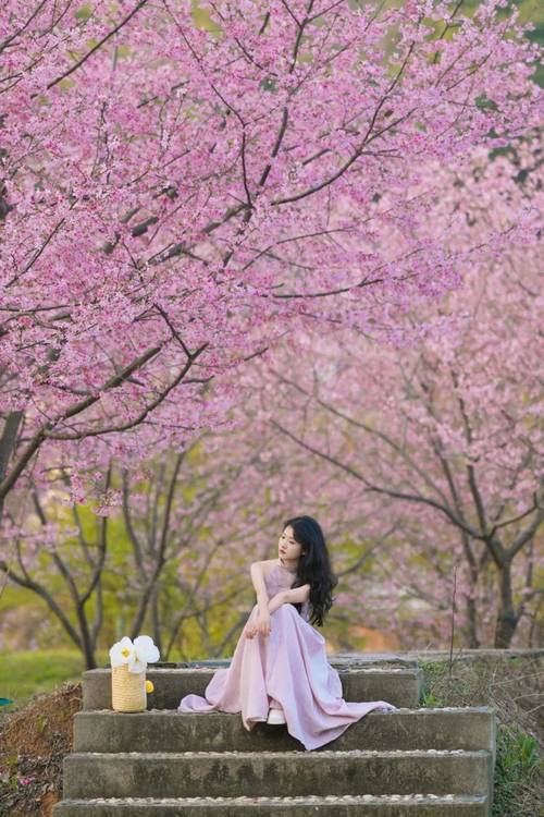 怎么拍出最美的樱花物语照片？摄影师分享几个小技巧！