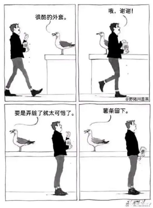 每日囧图：那些让人喷饭的社死瞬间，今日份笑料已送达！