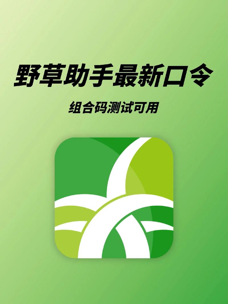 野草助手是什么软件？一文搞懂它的强大功能和使用方法