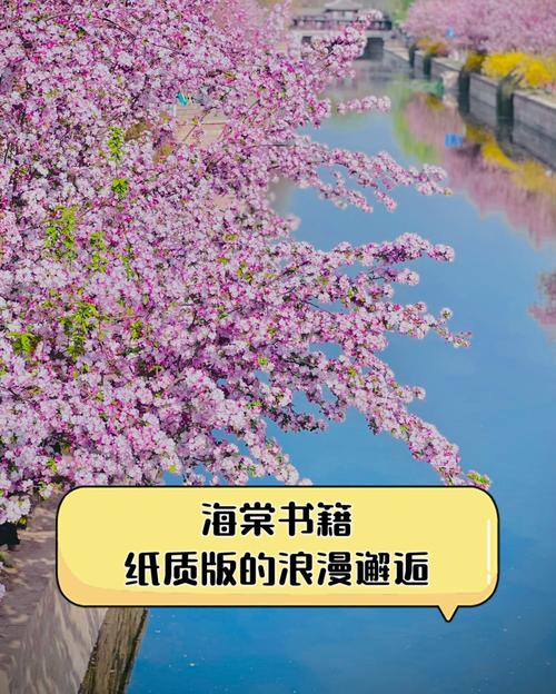 喜欢海棠书怎么办？这几本高分小说你不能错过！