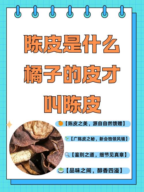 为什么大家都推荐小皮助手？(因为它能解决你这些痛点)