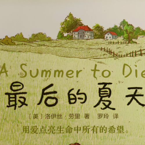 最后的夏季官网活动多吗？最新福利与更新内容汇总