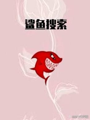 鲨鱼搜索和百度搜索哪个快？对比实测帮你选出赢家！