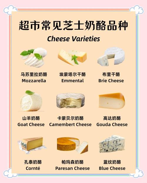 陈年干酪哪里买比较正宗？老饕分享靠谱渠道！