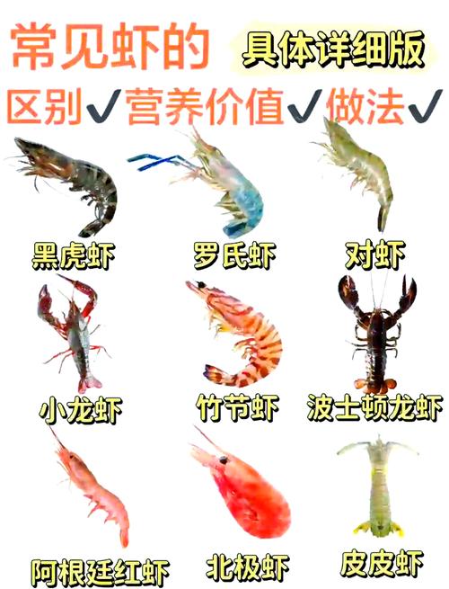 蚂蚁庄园最新解答：虾头变黑真的等于重金属超标？