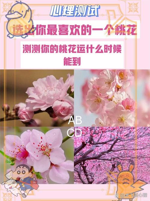 今年我的桃花运什么时候来？测测你近期爱情走向超准！