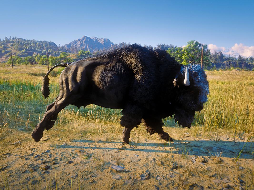 西部荒野中最好的坐骑是哪匹马？教你如何快速获得！