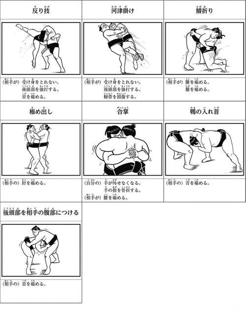相扑小游戏玩法大全解析？(从基础到精通技巧)
