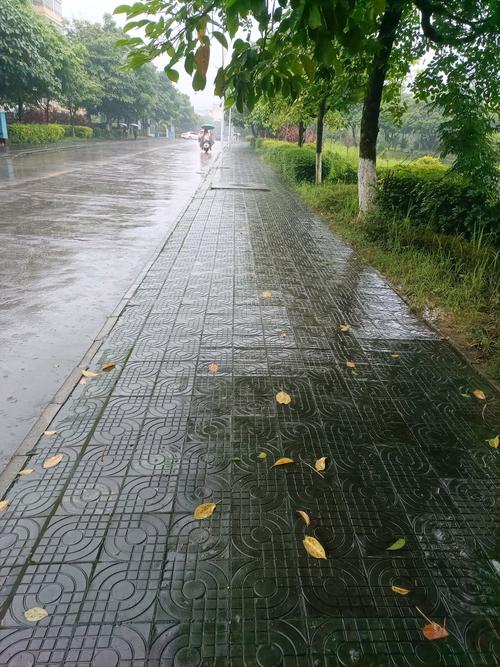 雨中漫步2隐藏结局怎么触发？四步解锁彩蛋攻略