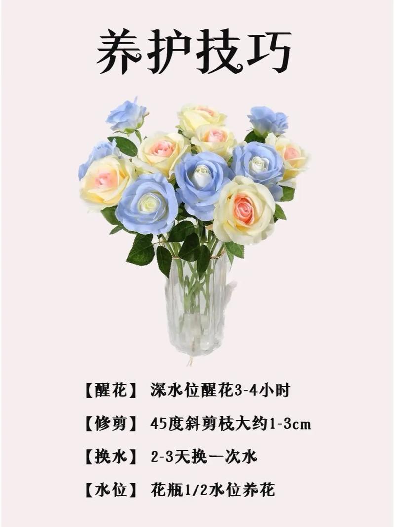 破碎之花代表什么？深度解析隐藏在花朵之下的情感创伤和希望！