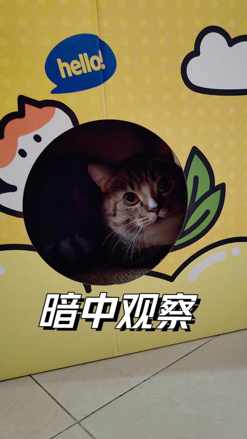 暗中观察如何不被发现?老手教你隐藏自己的方法!