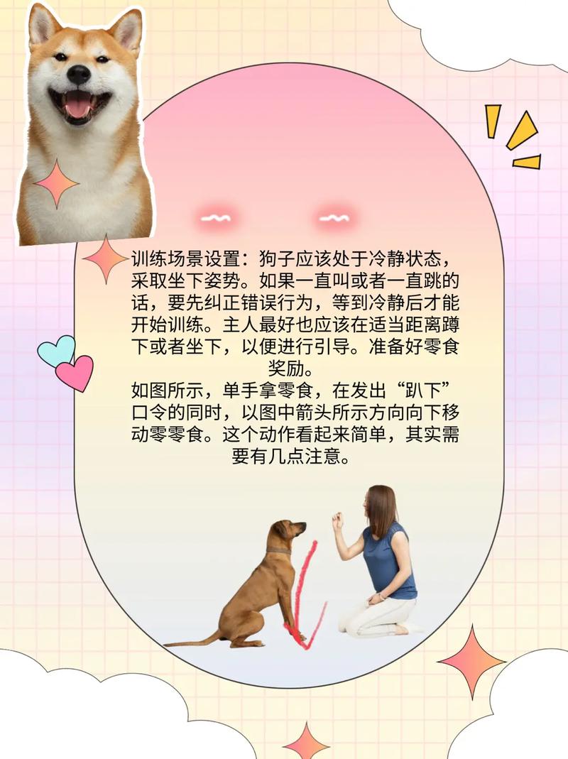 驯服宠物怎么做效果好？老司机分享实操经验帮你成功！