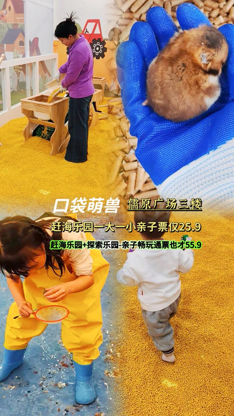 口袋动物园能赚钱吗？看看过来人的经验！