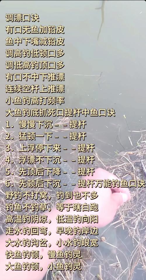 超级钓鱼新手攻略怎么做？掌握这3个技巧轻松爆护！