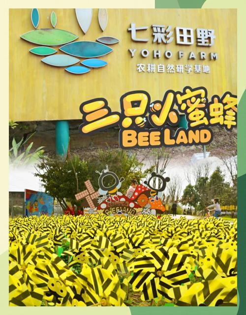 蜂蜂乐园门票多少钱?最新优惠活动攻略看这里!