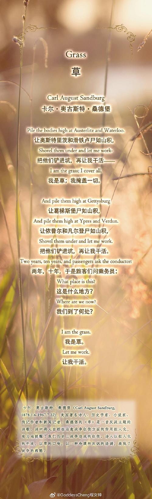 奥利卡的诗受欢迎原因？(分析关键看点抓牢用户！)