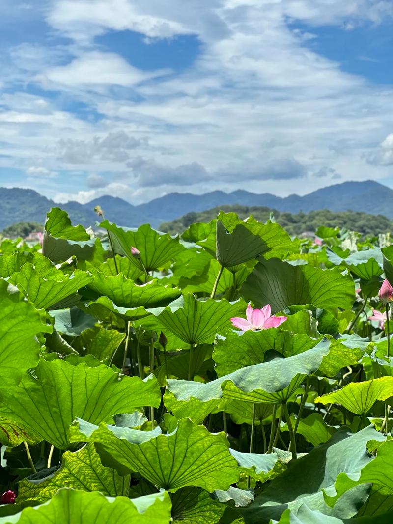 拍摄静态风景用什么相机镜头好？摄影老手推荐这3款高性价比器材！