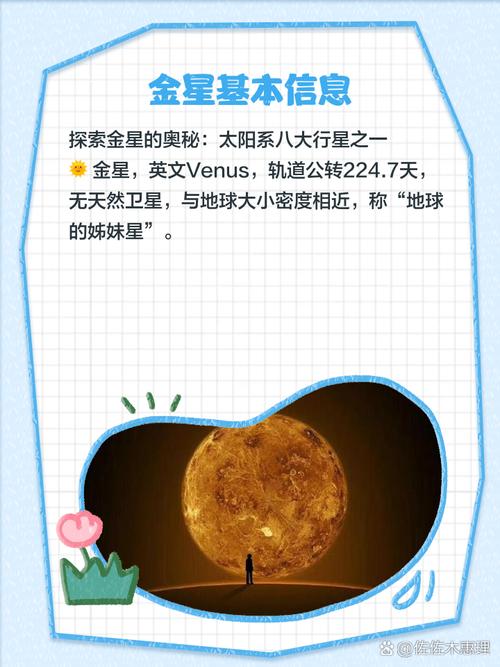 金星网究竟是做什么的?一篇文章快速帮你了解它的核心作用!