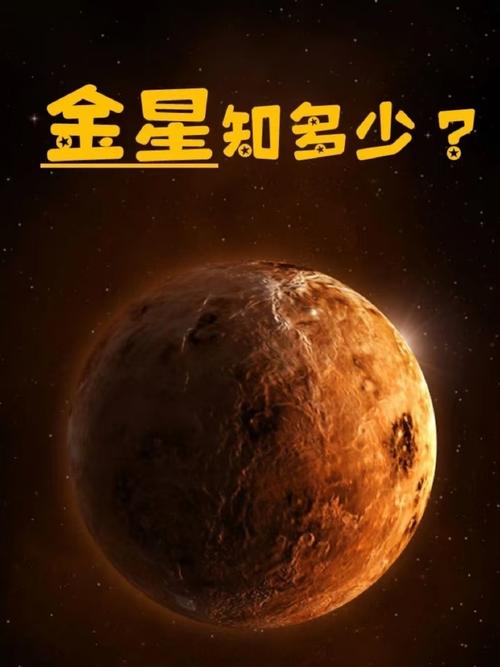 金星网究竟是做什么的?一篇文章快速帮你了解它的核心作用!