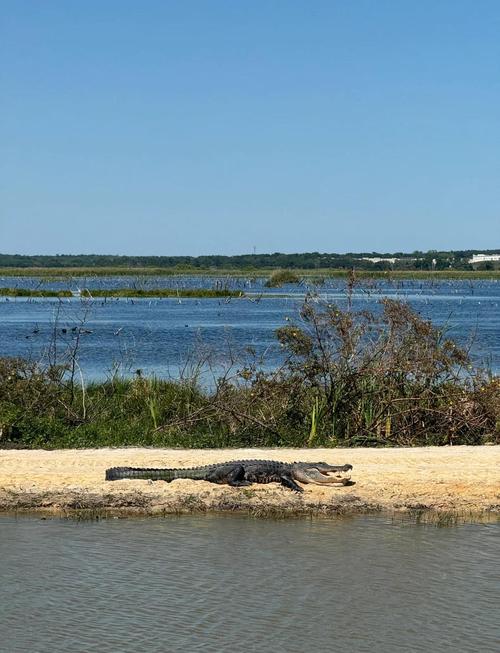 沼泽之旅国内去哪里玩？这几个小众景点体验感爆棚！