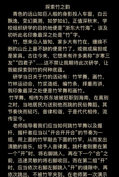 竹内的旅程版本大全：一站式实用教程