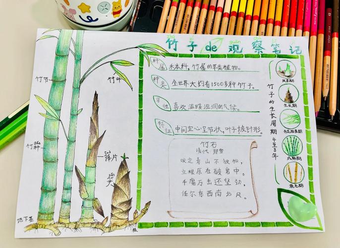 探索“竹内的旅程”:一场绅士游戏的细腻体验