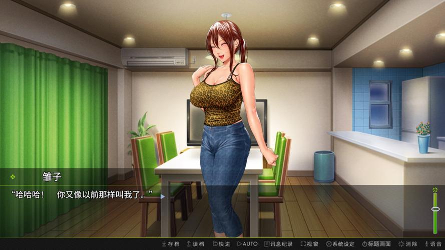 深入解析:前不良人妻汉化版最新更新内容的专业分析