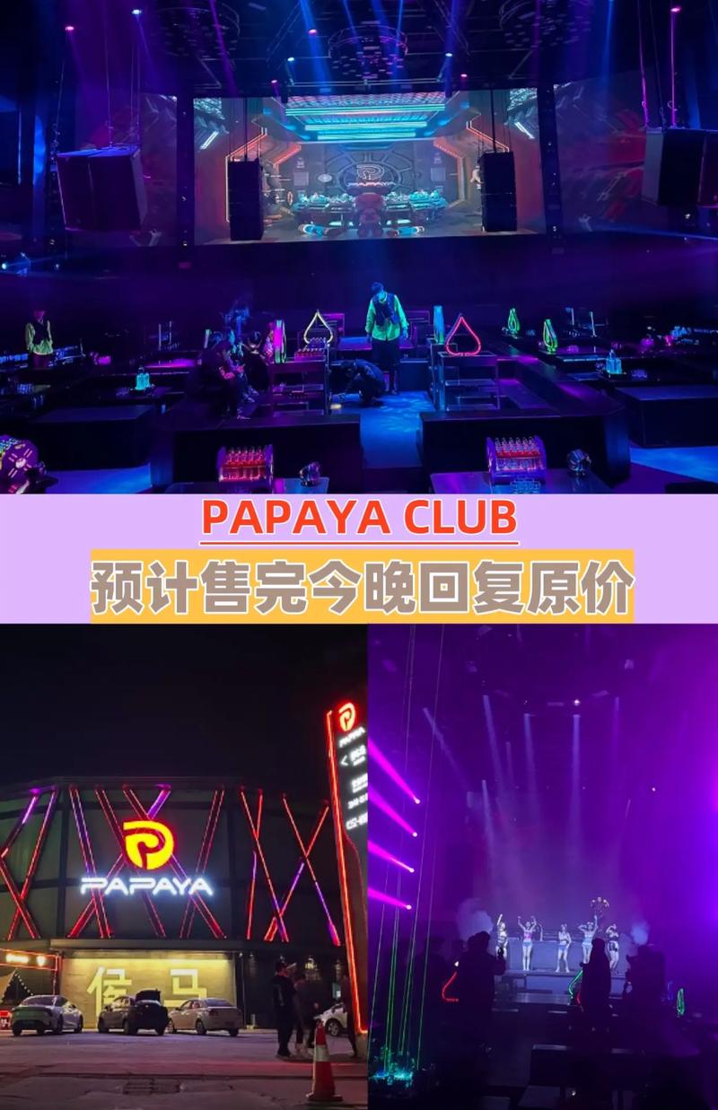 PAPA酒馆最新版本:深度解析与前瞻