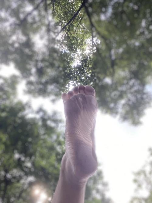 探索“脚下的正常生活”汉化版的深度分析与下载指南