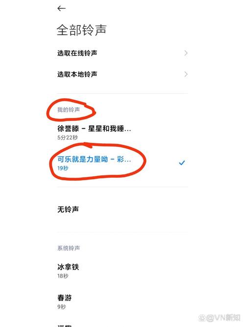 如何下载《我声音的颜色》：深度分析与实用指南