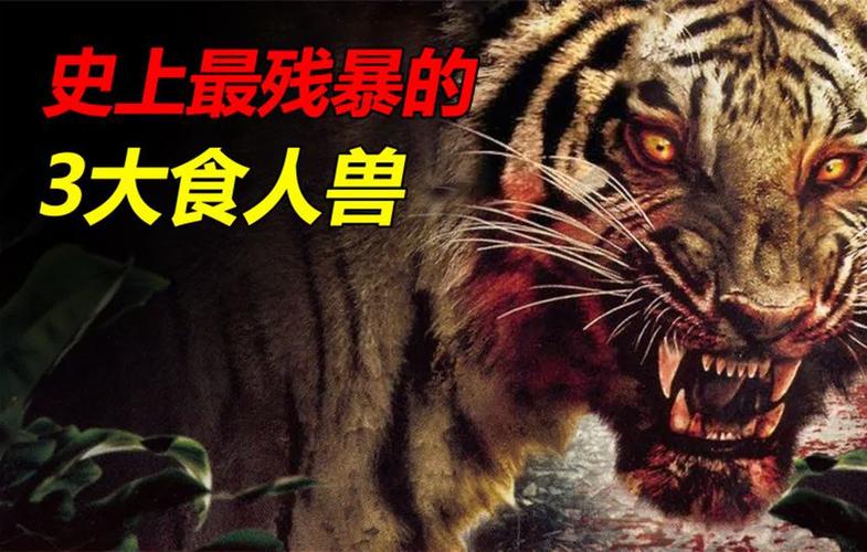 深入探讨《暴食的怪兽公主》安卓汉化版：背后的机遇与挑战