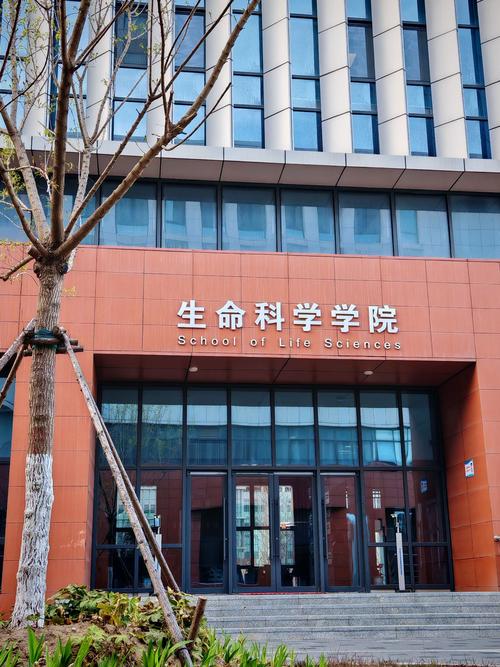 生殖活动学院最新版本的深度解析与未来展望