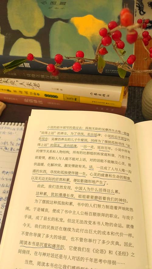 真实的版本大全：深度解析与实用指南