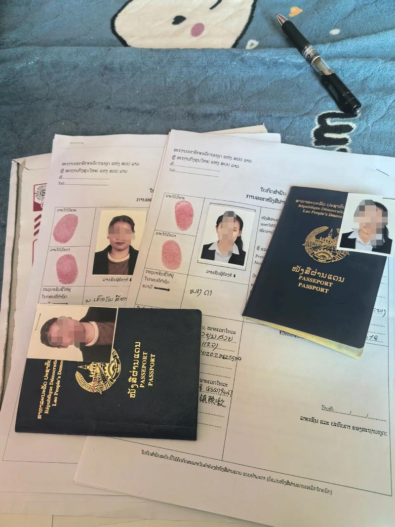 黑手党执照更新日志：分析与展望