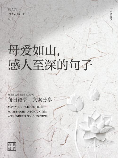 探索“母爱如山”：安卓汉化游戏的文化与技术分析