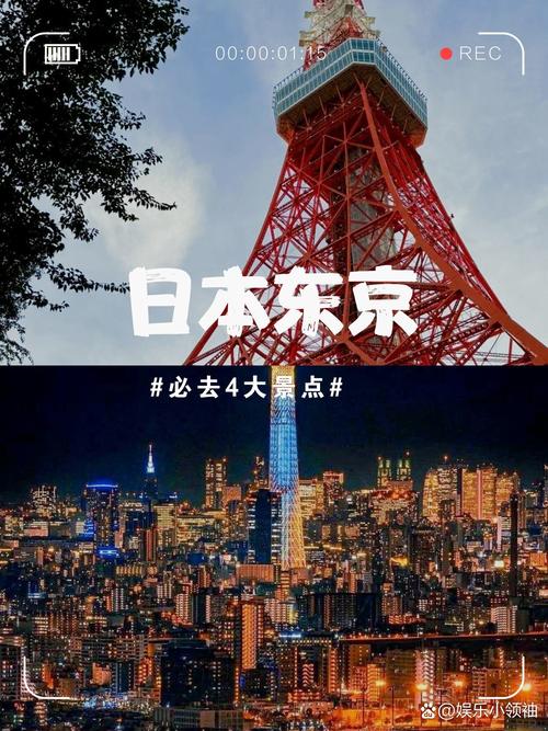 探寻日本的新起点:最新版本分析与展望