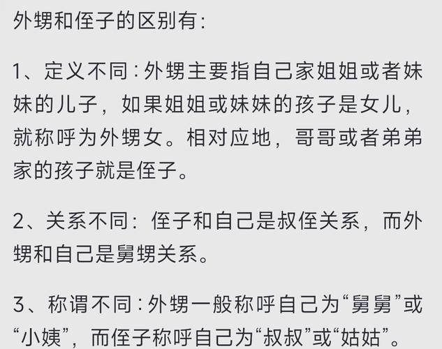 深入分析“嫂子与小侄子官网”的市场表现与发展潜力