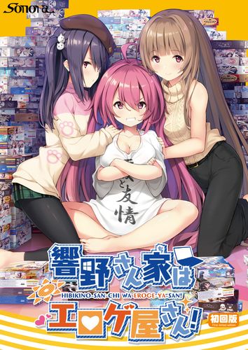 响野家的商店官网:分析其在绅士游戏市场中的独特定位