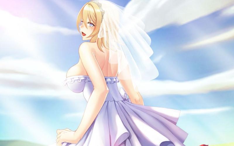 深入分析《圣骑士莉雅丝》:绅士游戏的魅力与挑战