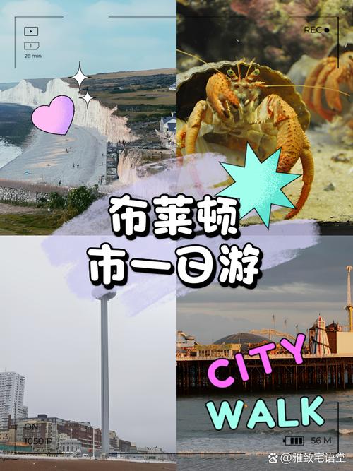 布莱顿市帝国游戏官网:深度分析与未来展望