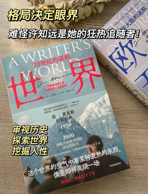 深入探讨《两个世界之间》安卓汉化的挑战与前景