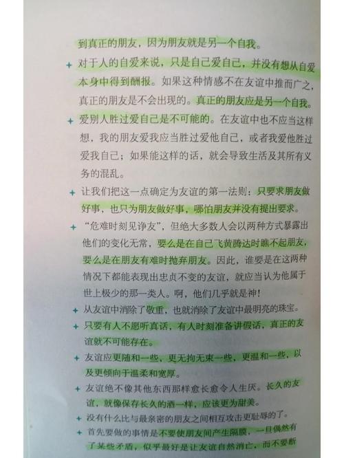 深度解析《友情与利益2最新版本》的游戏机制与玩家体验