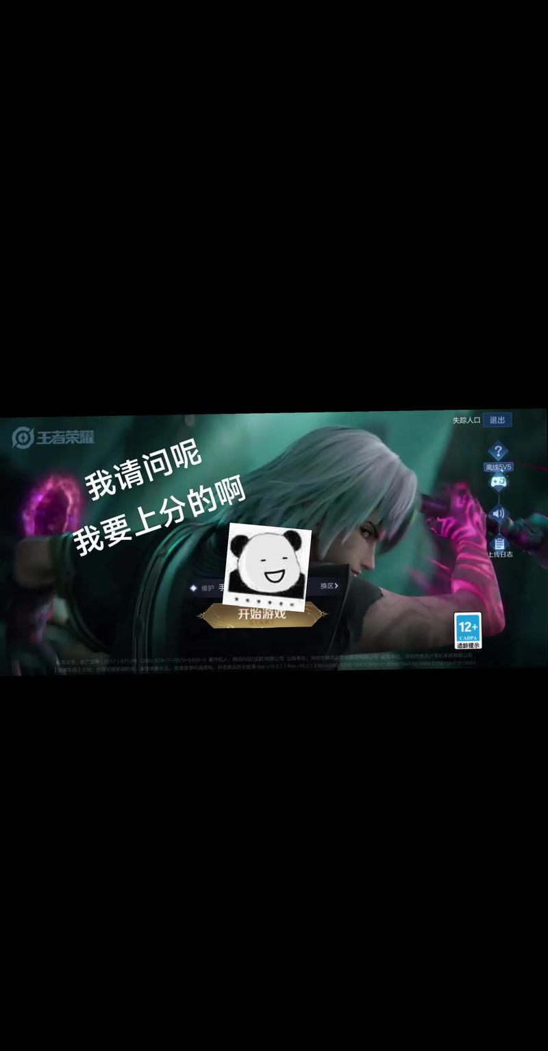 被耽误我上分官网：深度解析与解决方案