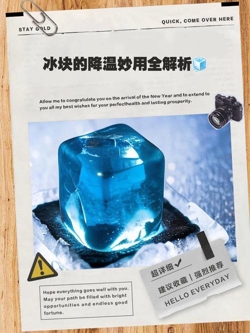 深入分析《下来啊!冰鸟》的绅士游戏特征与市场潜力