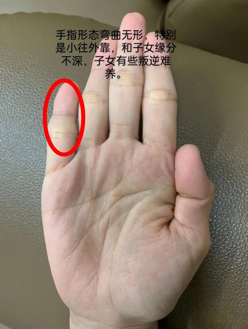 深度解析：街区淑女掌控者汉化版下载的魅力与挑战