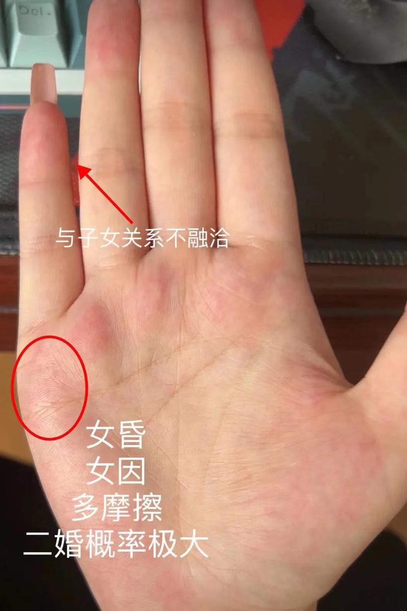 深度解析:街区淑女掌控者汉化版下载的魅力与挑战